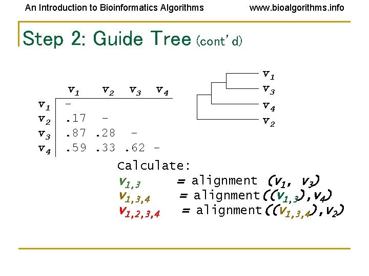 An Introduction to Bioinformatics Algorithms www. bioalgorithms. info Step 2: Guide Tree (cont’d) v