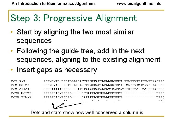 An Introduction to Bioinformatics Algorithms www. bioalgorithms. info Step 3: Progressive Alignment • Start