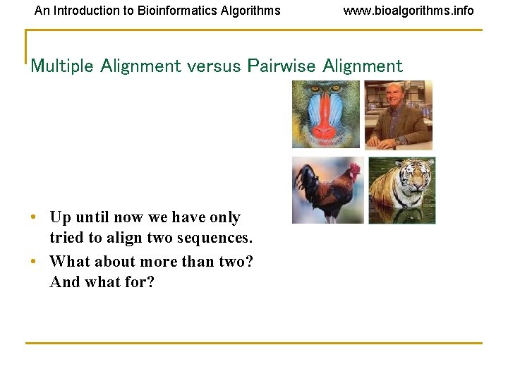 An Introduction to Bioinformatics Algorithms www. bioalgorithms. info Multiple Alignment versus Pairwise Alignment •
