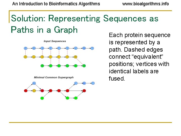 An Introduction to Bioinformatics Algorithms www. bioalgorithms. info Solution: Representing Sequences as Paths in