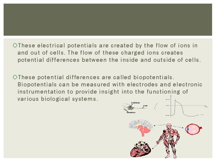  These electrical potentials are created by the flow of ions in and out