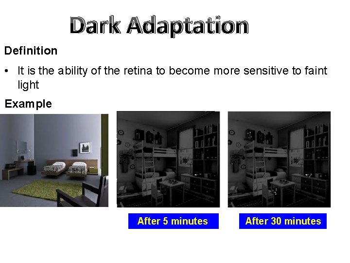 Dark Adaptation Definition • It is the ability of the retina to become more