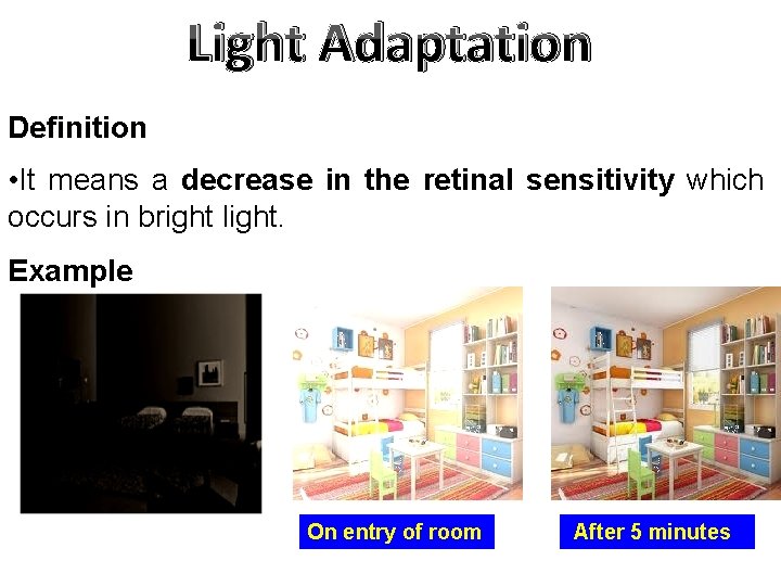 Light Adaptation Definition • It means a decrease in the retinal sensitivity which occurs