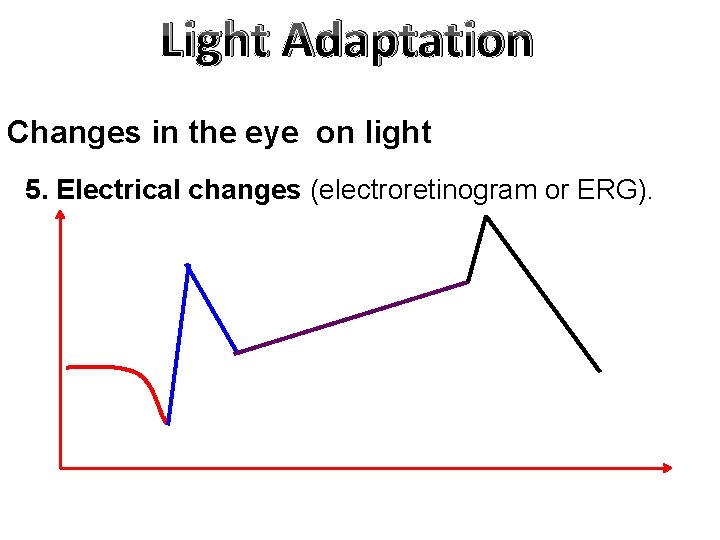 Light Adaptation Changes in the eye on light 5. Electrical changes (electroretinogram or ERG).