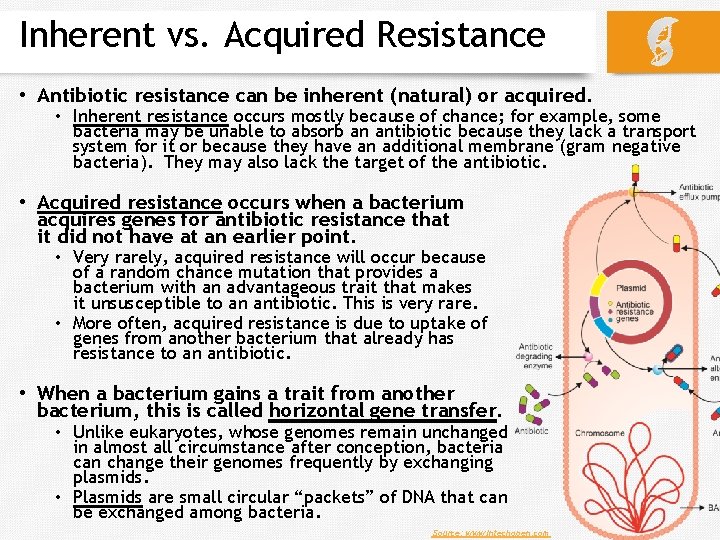 Inherent vs. Acquired Resistance • Antibiotic resistance can be inherent (natural) or acquired. •