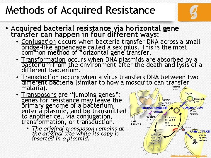 Methods of Acquired Resistance • Acquired bacterial resistance via horizontal gene transfer can happen