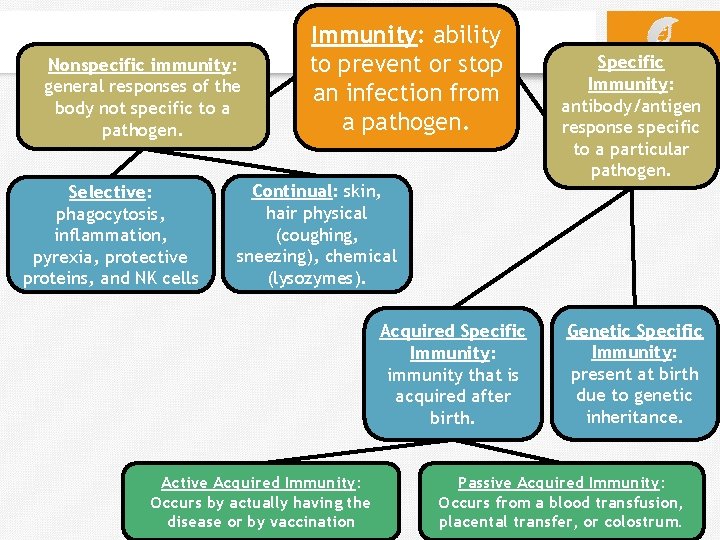 Nonspecific immunity: general responses of the body not specific to a pathogen. Selective: phagocytosis,