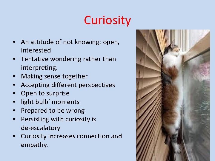 Curiosity • An attitude of not knowing; open, interested • Tentative wondering rather than