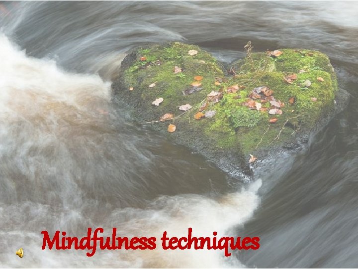 Mindfulness techniques 