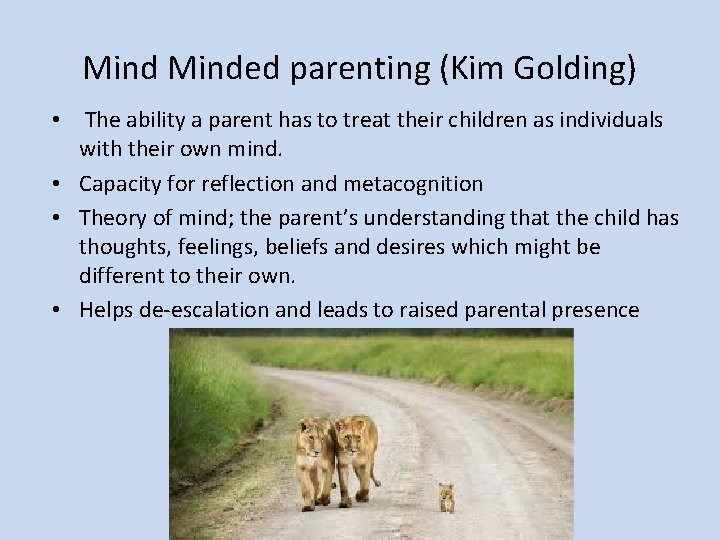 Minded parenting (Kim Golding) • The ability a parent has to treat their children