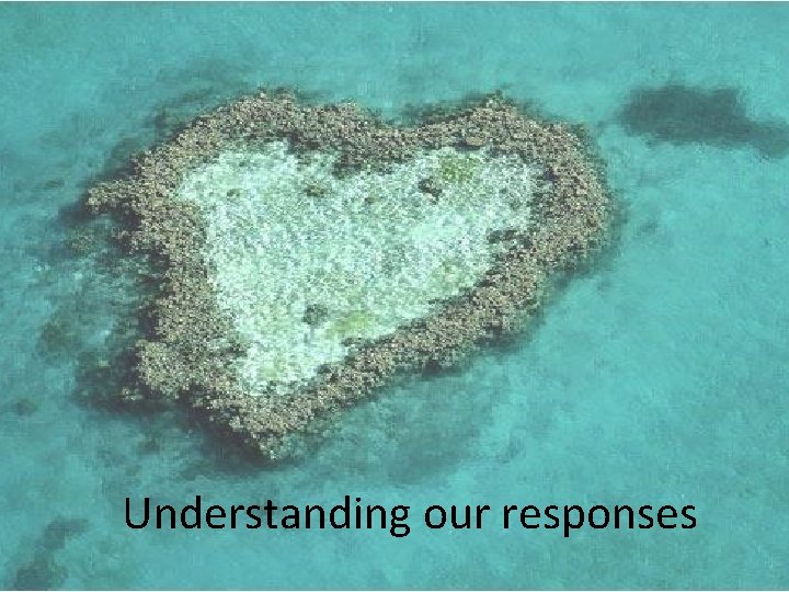 Understanding our responses 