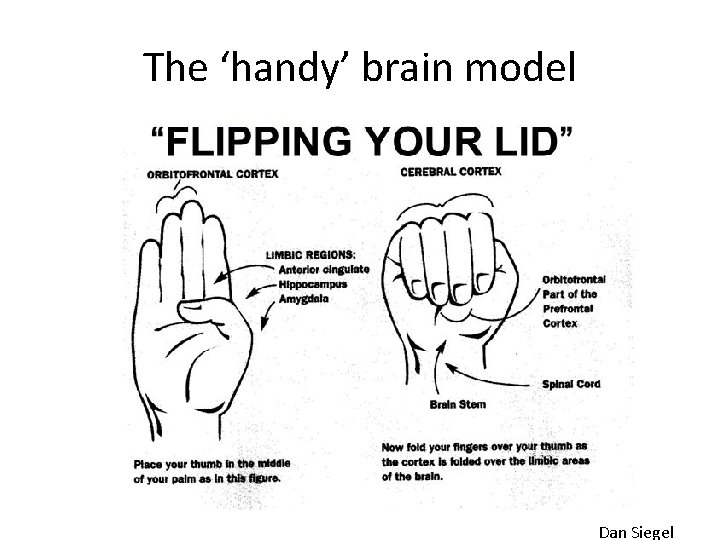 The ‘handy’ brain model Dan Siegel 