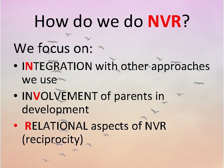 How do we do NVR? We focus on: • INTEGRATION with other approaches we