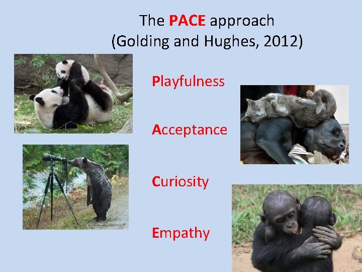 The PACE approach (Golding and Hughes, 2012) Playfulness Acceptance Curiosity Empathy 