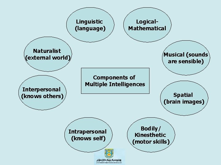 Linguistic (language) Logical. Mathematical Naturalist (external world) Interpersonal (knows others) Musical (sounds are sensible)