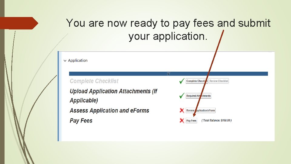 You are now ready to pay fees and submit your application. 