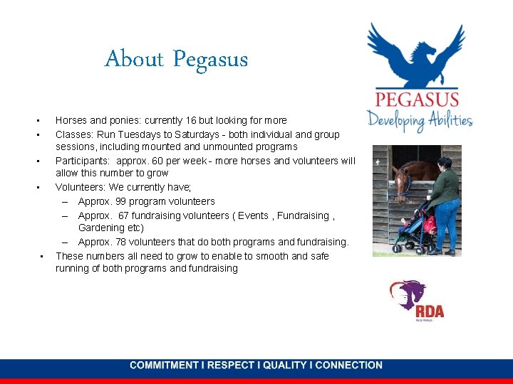 About Pegasus • • • Horses and ponies: currently 16 but looking for more