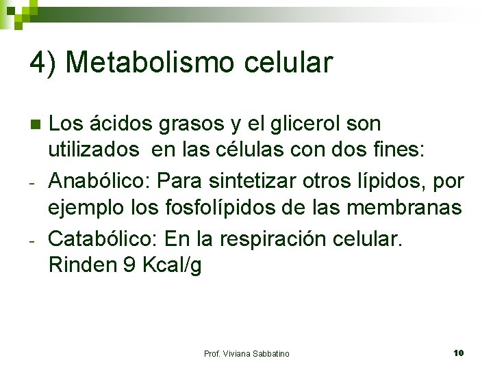 4) Metabolismo celular n - Los ácidos grasos y el glicerol son utilizados en
