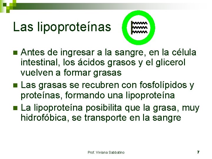 Las lipoproteínas Antes de ingresar a la sangre, en la célula intestinal, los ácidos