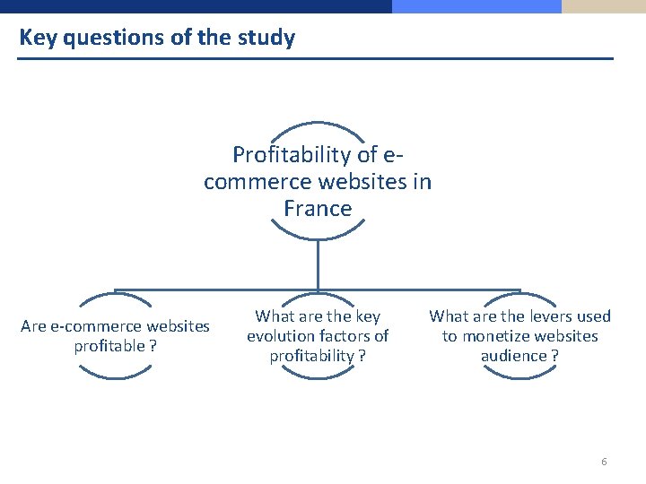 Key questions of the study Profitability of ecommerce websites in France Are e-commerce websites