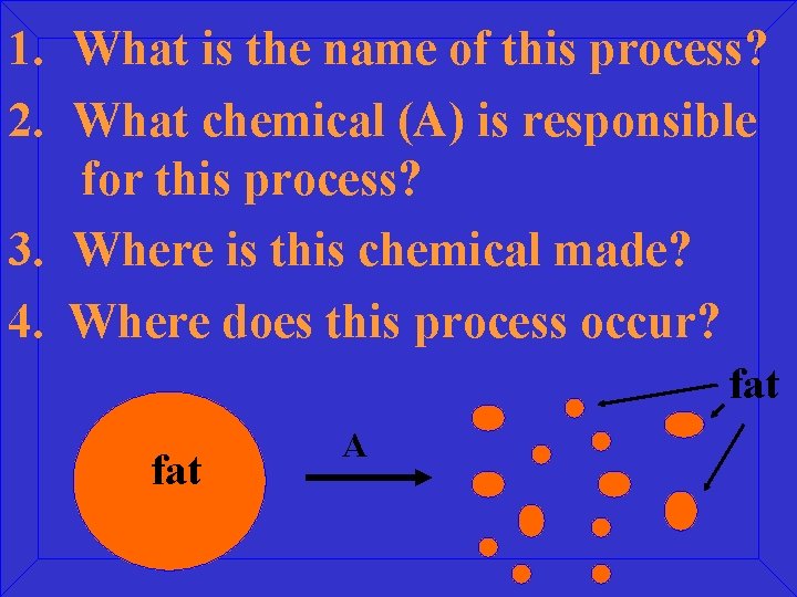 1. What is the name of this process? 2. What chemical (A) is responsible