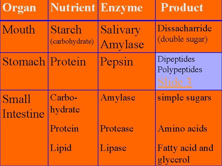 Organ Nutrient Enzyme Mouth Starch (carbohydrate) Stomach Protein Salivary Amylase Pepsin Product Dissacharride (double