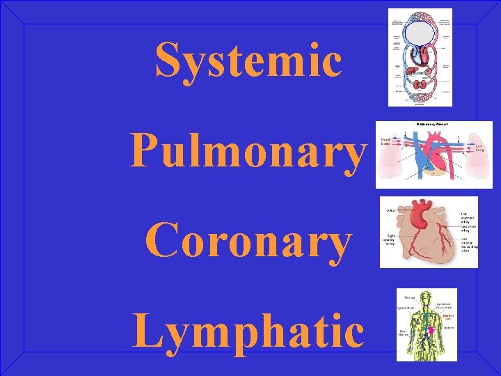 Systemic Pulmonary Coronary Lymphatic 