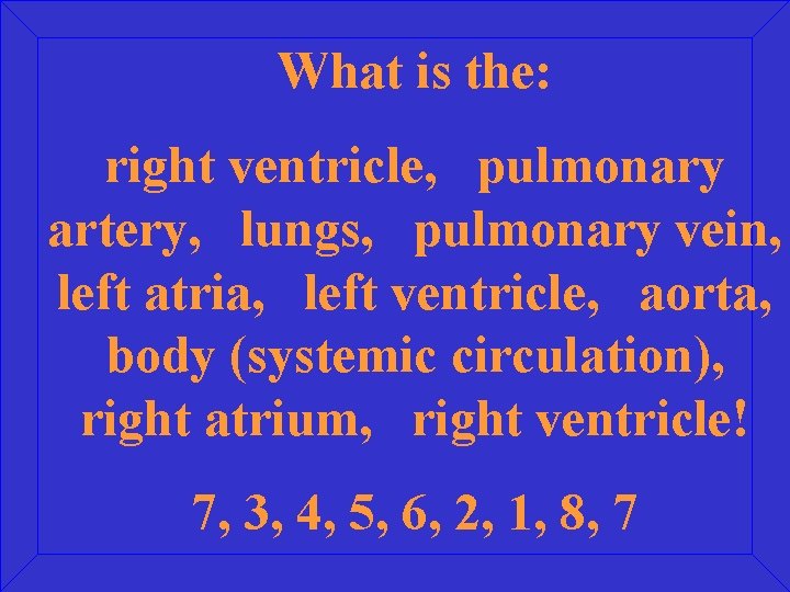 What is the: right ventricle, pulmonary artery, lungs, pulmonary vein, left atria, left ventricle,