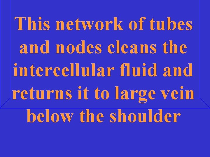 This network of tubes and nodes cleans the intercellular fluid and returns it to