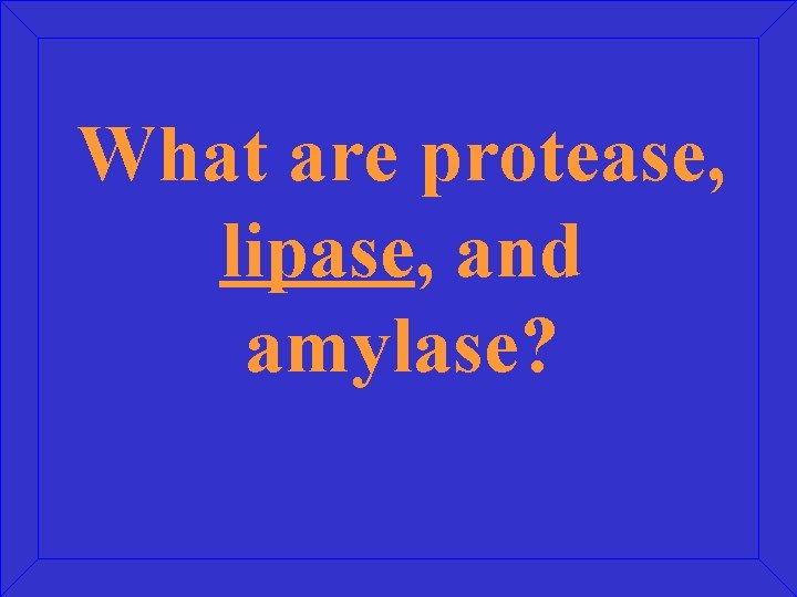 What are protease, lipase, and amylase? 