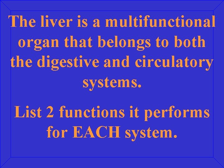 The liver is a multifunctional organ that belongs to both the digestive and circulatory
