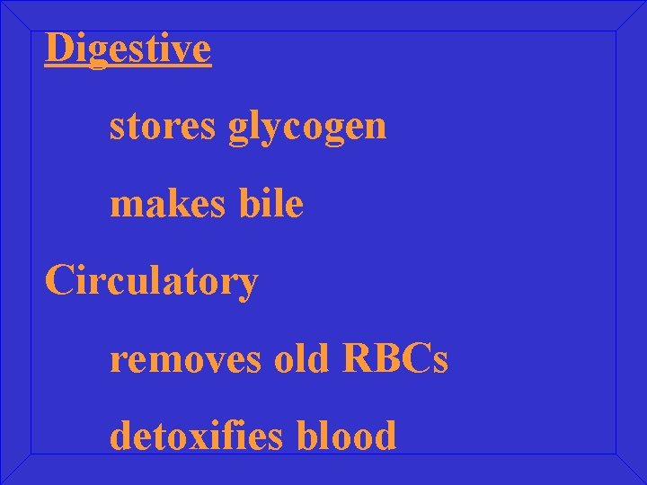 Digestive stores glycogen makes bile Circulatory removes old RBCs detoxifies blood 