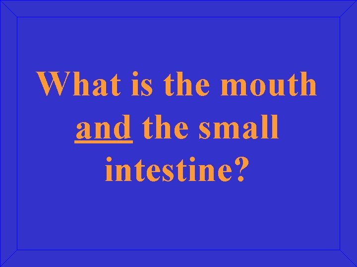 What is the mouth and the small intestine? 