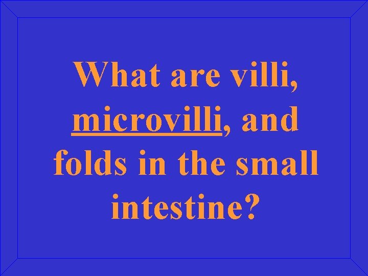 What are villi, microvilli, and folds in the small intestine? 