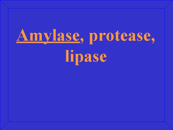 Amylase, protease, lipase 