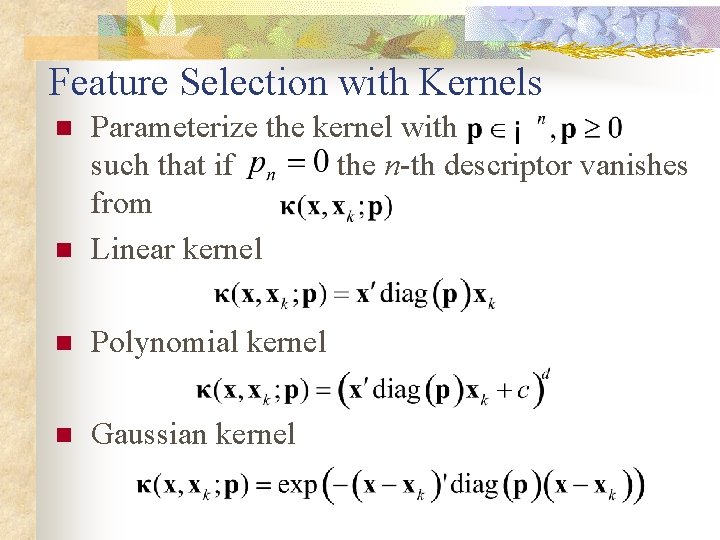 Feature Selection with Kernels n Parameterize the kernel with such that if the n-th