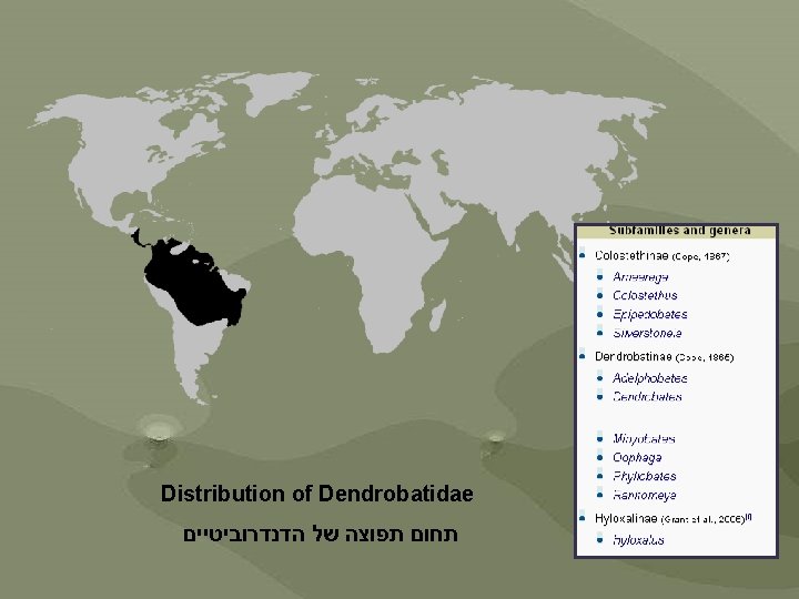  Distribution of Dendrobatidae הדנדרוביטיים של תפוצה תחום 
