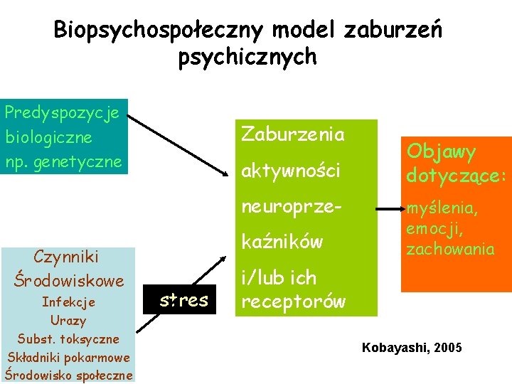 Biopsychospołeczny model zaburzeń psychicznych Predyspozycje biologiczne np. genetyczne Zaburzenia aktywności neuroprze- Czynniki Środowiskowe Infekcje