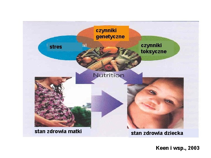 czynniki genetyczne stres stan zdrowia matki czynniki toksyczne stan zdrowia dziecka Keen i wsp.