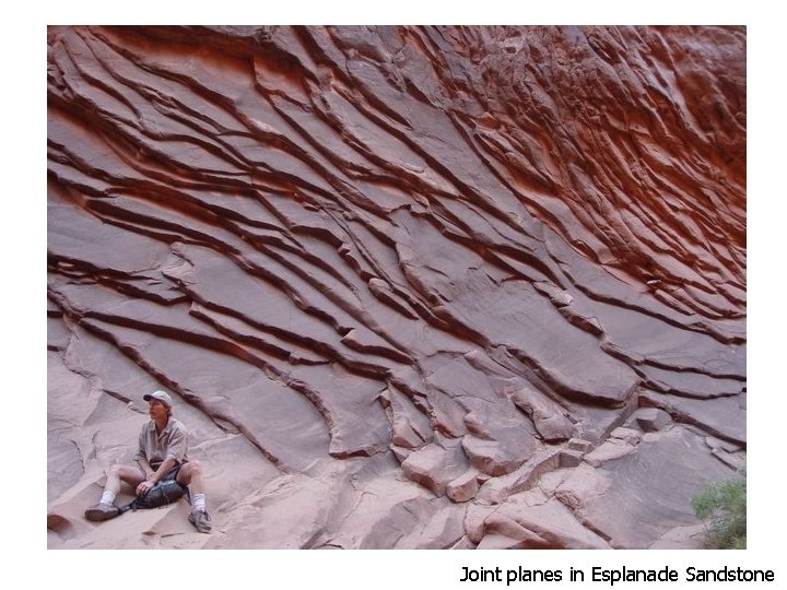 Joint planes in Esplanade Sandstone 