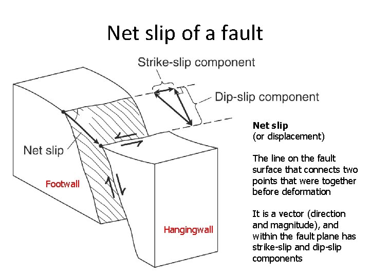 Net slip of a fault Net slip (or displacement) The line on the fault