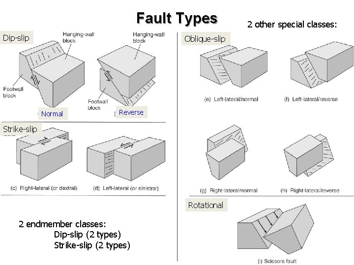 Fault Types Dip-slip Oblique-slip Normal Reverse Strike-slip Rotational 2 endmember classes: Dip-slip (2 types)