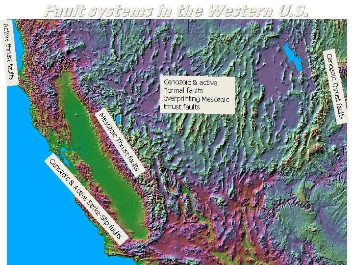 Fault systems in the Western U. S. Cenoz t faults Active thrus ic zo