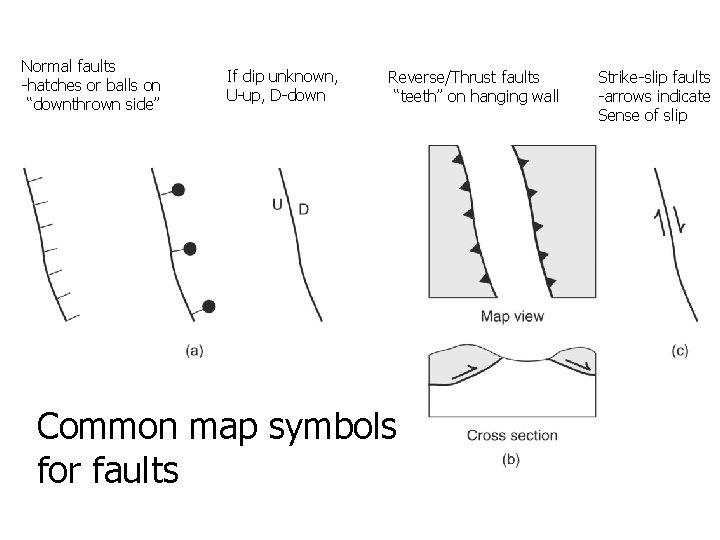 Normal faults -hatches or balls on “downthrown side” If dip unknown, U-up, D-down Reverse/Thrust