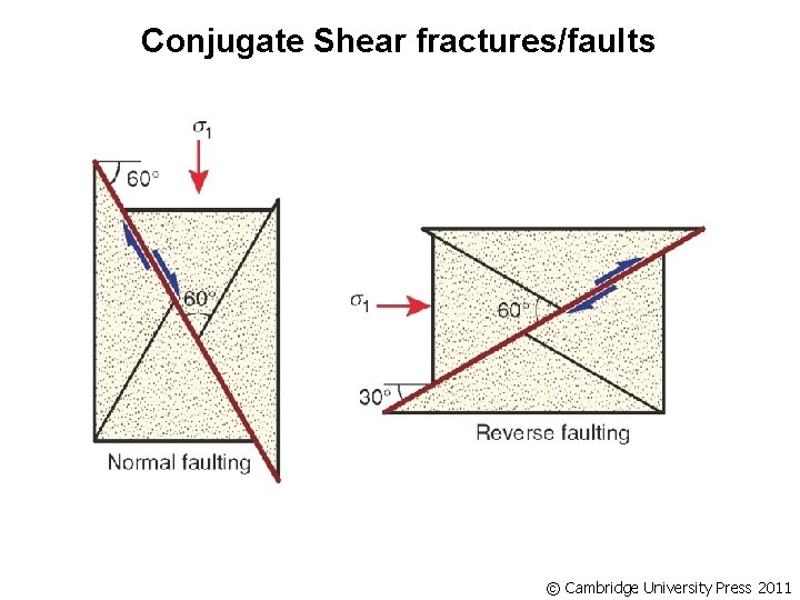 Conjugate Shear fractures/faults © Cambridge University Press 2011 