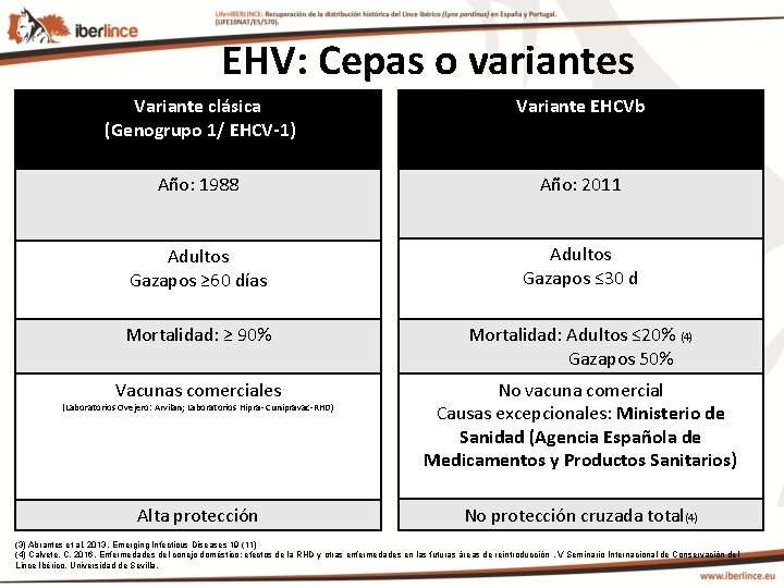 EHV: Cepas o variantes Variante clásica (Genogrupo 1/ EHCV-1) Variante EHCVb Año: 1988 Año:
