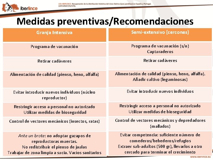 Medidas preventivas/Recomendaciones Granja Intensiva Semi-extensivo (cercones) Programa de vacunación (s/n) Capturaderos Retirar cadáveres Alimentación