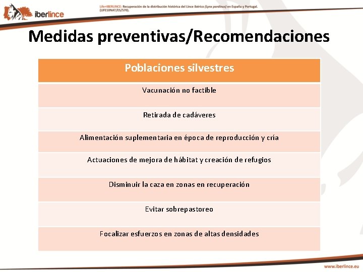 Medidas preventivas/Recomendaciones Poblaciones silvestres Vacunación no factible Retirada de cadáveres Alimentación suplementaria en época