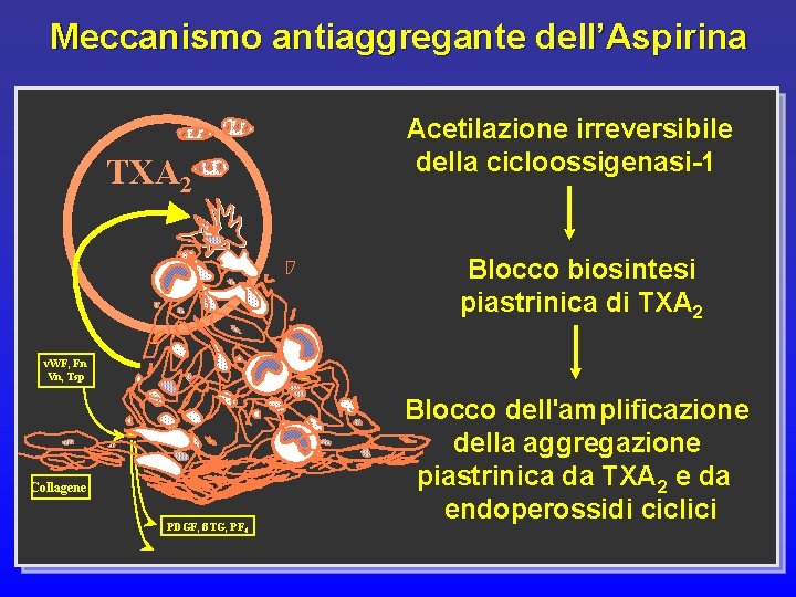 Meccanismo antiaggregante dell’Aspirina TXA 2 Acetilazione irreversibile della cicloossigenasi-1 Blocco biosintesi piastrinica di TXA