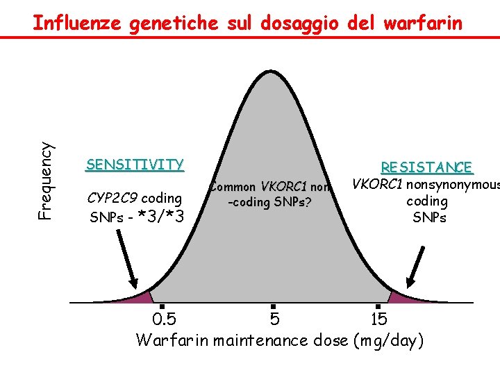 Frequency Influenze genetiche sul dosaggio del warfarin SENSITIVITY CYP 2 C 9 coding SNPs
